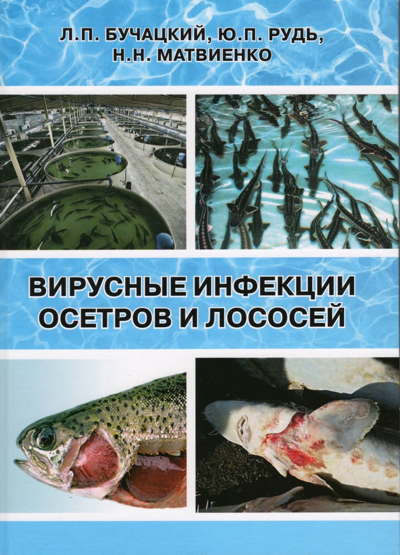 Вирусные инфекции осетров и лососей