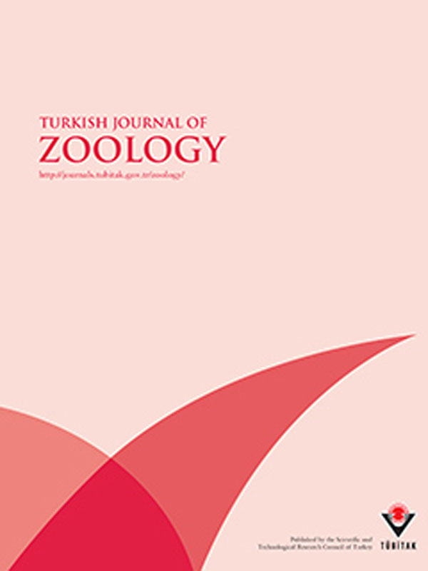 Oxygen consumption rates and respiratory carbon losses in three species of copepods (Acartia clausi, Calanus helgolandicus and Limnocalanus macrurus) during starvation
