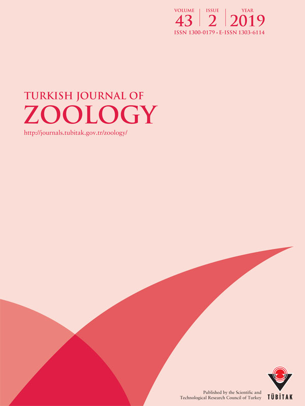 Hucho hucho (Linnaeus, 1758): Last natural viable population in the Eastern Carpathians – conservation elements