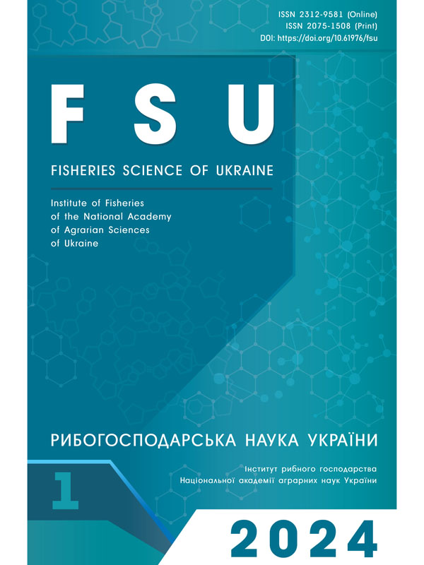 Оцінка товарних кондицій помісей першого покоління антонінсько-зозуленецьких та галицьких рамчастих коропів