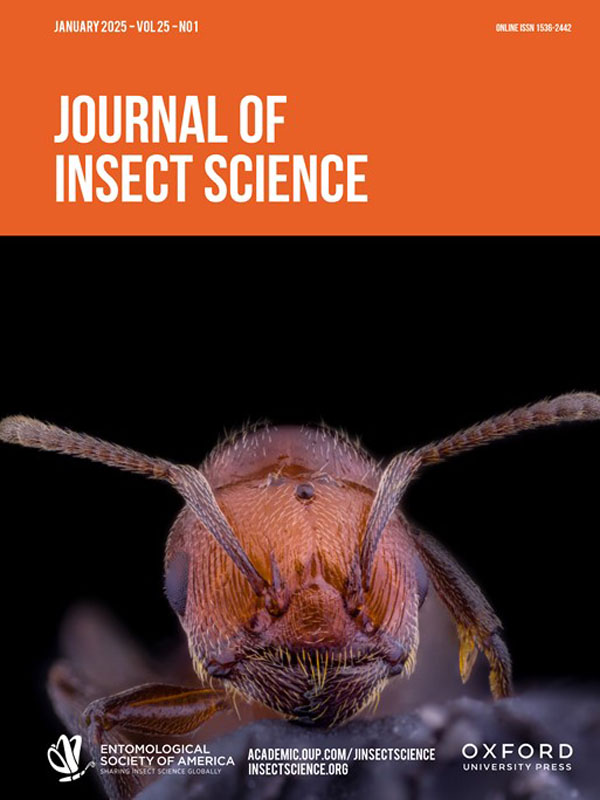 Multi-sample long-read nanopore sequencing of the diving beetle Agabus bipustulatus (Coleoptera: Dytiscidae: Agabinae) mitogenome produces effectively reliable data for downstream analyses