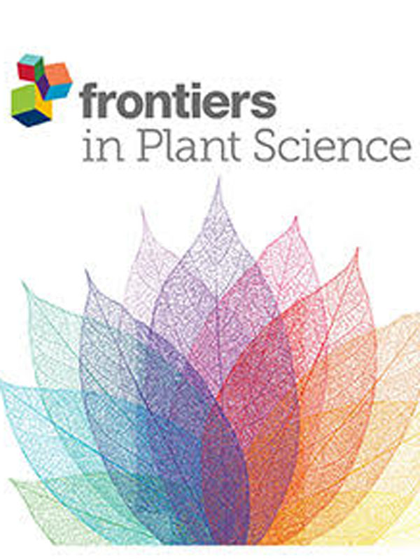 The magnet species effect of two-leaf squill (Scilla spp.) on pollinator competition with the snowdrop (Galanthus nivalis L.)